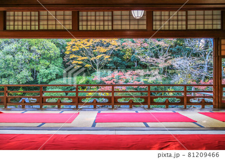 秋の友泉亭 81209466