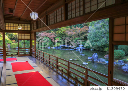 秋の友泉亭 秋の友泉亭 81209470