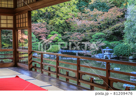 秋の友泉亭 81209476