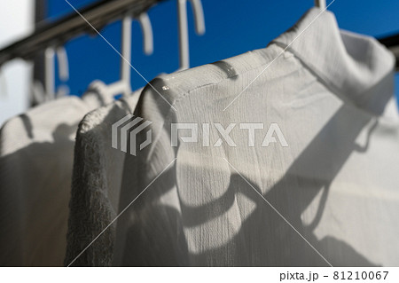 Image photo 81210067