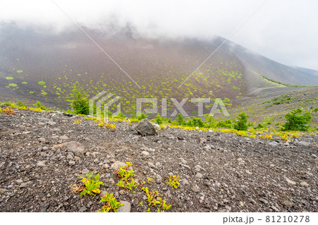 日本最高峰、富士山！宝永第一火口縁の景色（静岡県御殿場）※作品コメント欄に撮影位置 81210278