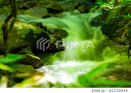 新緑まぶしい平谷大滝の渓流 81210834