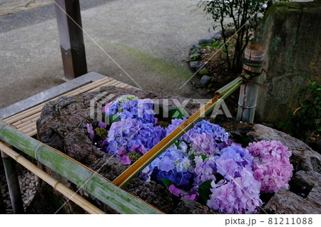 阿智神社の手水舎 81211088