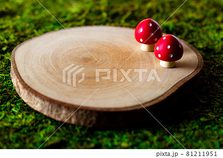 背景素材・切り株と毒きのこ 81211951