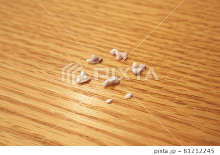 いろいろな歯型・子犬の抜けた乳歯 81212245