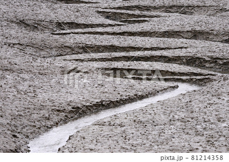 引き潮 海岸 海 81214358