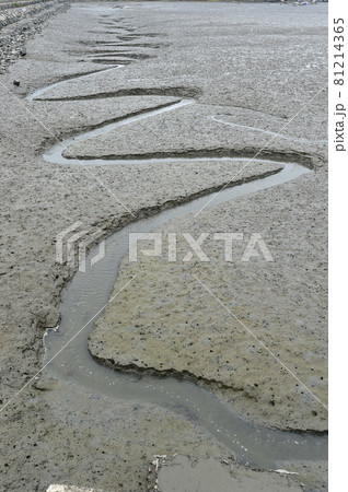 引き潮 海岸 海 81214365