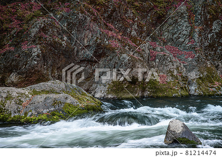 わたらせ渓谷　高津戸峡 81214474