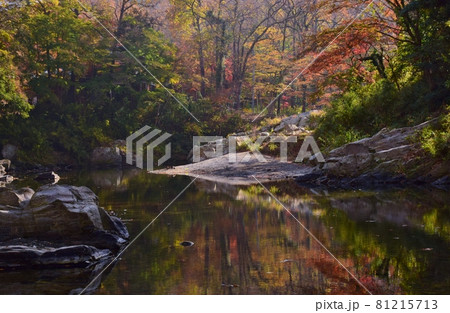紅葉の嵐山渓谷・埼玉県 紅葉の嵐山渓谷・埼玉県 81215713