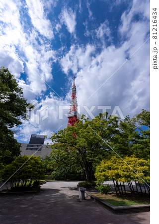＜都市景観＞東京タワー 81216434