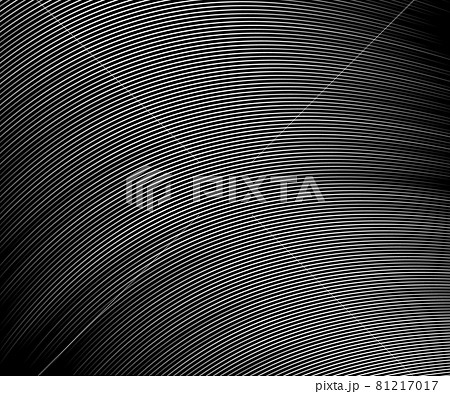 Abstract  grey white waves and lines pattern for your ideas, template background texture 81217017