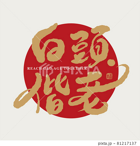 筆文字 アルファベット 手紙 81217137