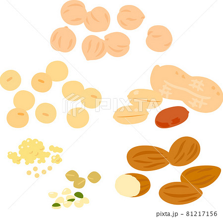 タンパク質を含む豆、ナッツ、穀物のセット 81217156