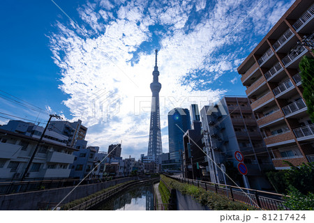 <都市景観>東京スカイツリー <都市景観>東京スカイツリー 81217424