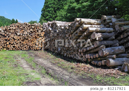 村上市高根の貯木場 81217921