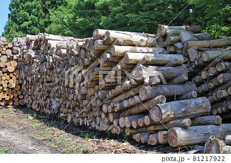 村上市高根の貯木場 81217922
