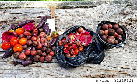 Fruits and vegetables are being prepared to compost organic fertilizer 81219122