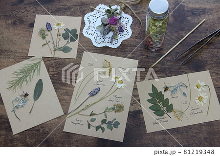 ハーブの押し花アート 81219348
