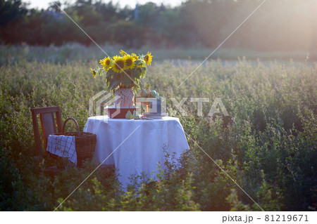 garden and still life garden and still life 81219671