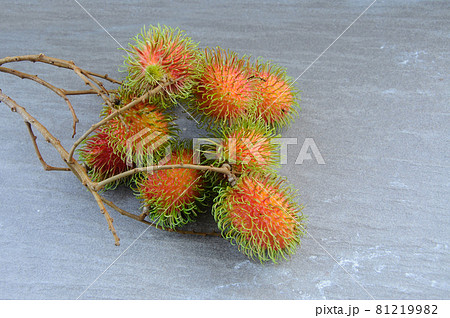 MERSING, MALAYSIA -SEPTEMBER 11, 2016: Ripe rambutan fruit ready to eat. Fresh from the tree. MERSING, MALAYSIA -SEPTEMBER 11, 2016: Ripe rambutan fruit ready to eat. Fresh from the tree. 81219982