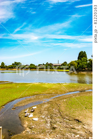 千葉県東金市にある徳川家康が東金御殿を築造の際に池を広げて造られた御殿池の八鶴湖の風景 81220163