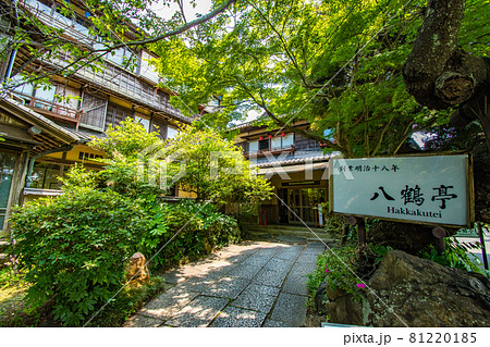 千葉県東金市にある徳川家康が東金御殿を築造の際に池を広げて造られた御殿池の八鶴湖の風景 千葉県東金市にある徳川家康が東金御殿を築造の際に池を広げて造られた御殿池の八鶴湖の風景 81220185