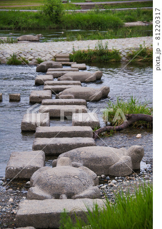 京都鴨川の人気スポット　亀石 81220317