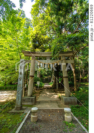 千葉県東金市にある日吉神社参道の風景 81220669