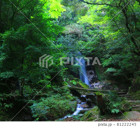 鳥栖市御手洗の滝 鳥栖市御手洗の滝 81222245