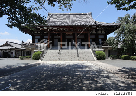 伝通院本堂 81222881