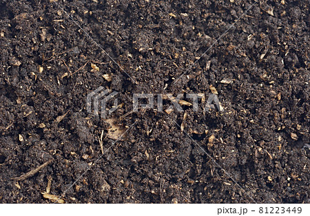 soil background soil background 81223449
