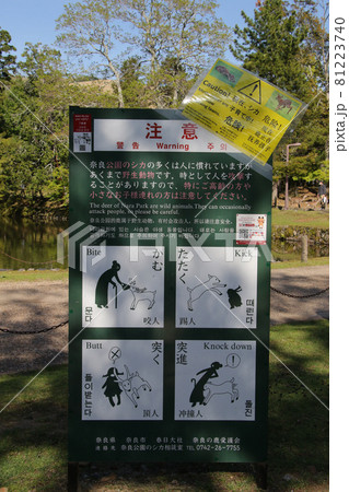 東大寺の境内に立つ鹿に対する注意勧告の掲示板　引き気味に 81223740
