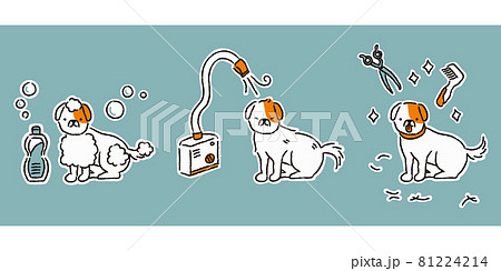 犬のトリミングの流れ シンプル のイラスト素材