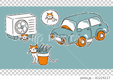 A cat that escapes and hides (simple) 81224217