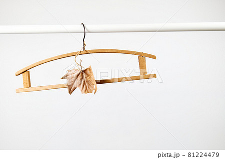 Wooden hanger with dry maple leaf on linen background. Natural aestetic, Eco-friendly, Chic, Cozy, Sustainable Sale concept. Zero waste Black friday. Space for text. 81224479