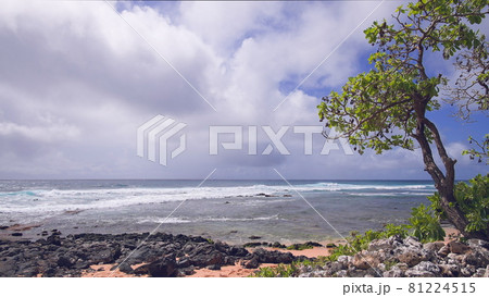 The blue waves of the Pacific Ocean roll over the rocky beach of the Hawaiian island of Oahu. Green tropical tree under the bright summer sun against a blue sky with white clouds. 81224515