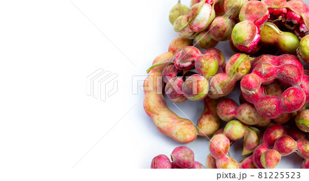 Manila tamarind fruit isolated on white background 81225523