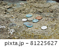 お金の勉強　錆びた硬貨 81225627