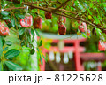 松崎町弁天島　厳島神社 81225628