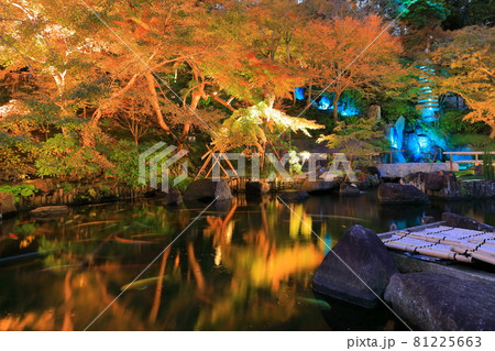 【神奈川県】長谷寺紅葉ライトアップ 【神奈川県】長谷寺紅葉ライトアップ 81225663