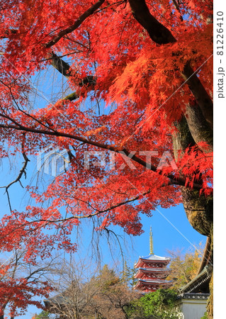 【千葉県】紅葉の本土寺 五重塔 【千葉県】紅葉の本土寺 五重塔 81226410