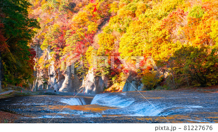 吹割の滝（秋） 81227676