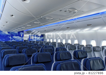航空機の機内 フライングホヌの座席 航空機の機内 フライングホヌの座席 81227896