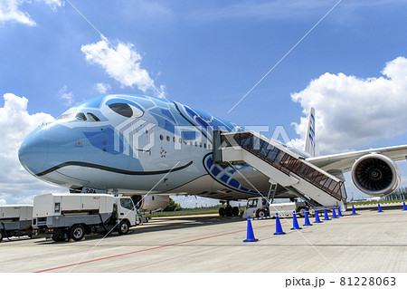 成田空港 A380 フライングホヌ 成田空港 A380 フライングホヌ 81228063