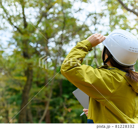 Image photo Image photo 81228332