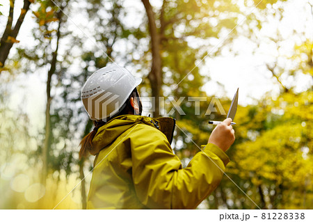 Image photo 81228338