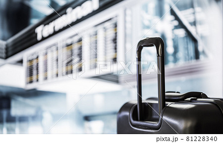 飛行機で旅行する男性 81228340