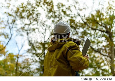 Image photo Image photo 81228348