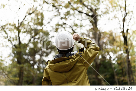 Image photo 81228524