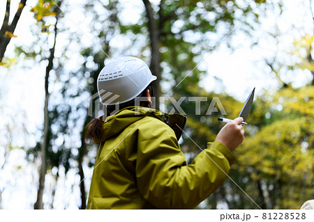 Image photo Image photo 81228528